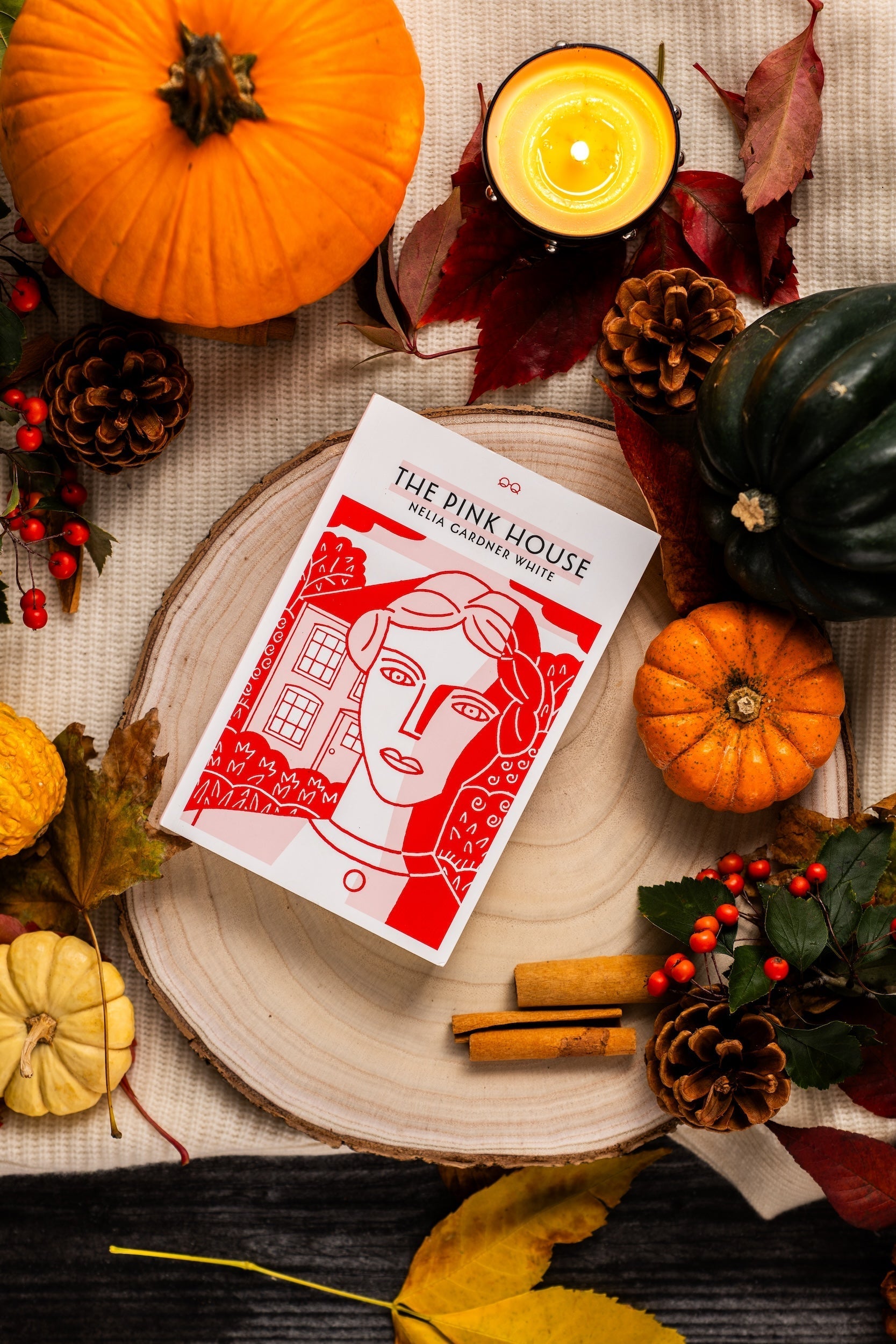Rediscovering The Pink House: The Forgotten Fall Cozy Read We All Need