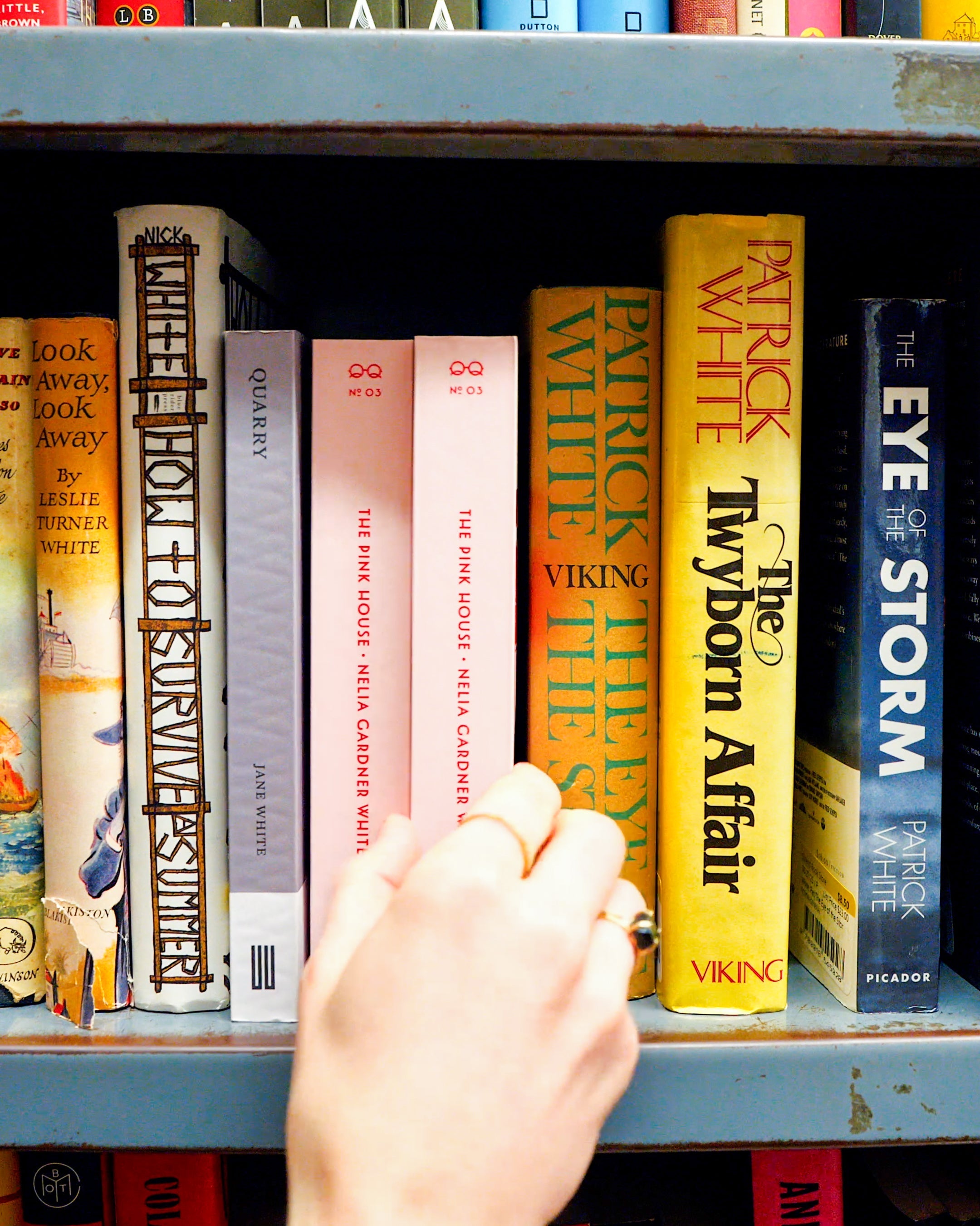 Quite Literally Spotted in the Wild