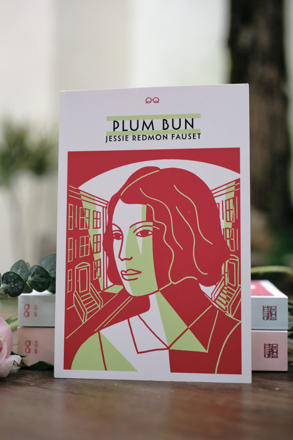 No. 2 Plum Bun: A Novel Without A Moral