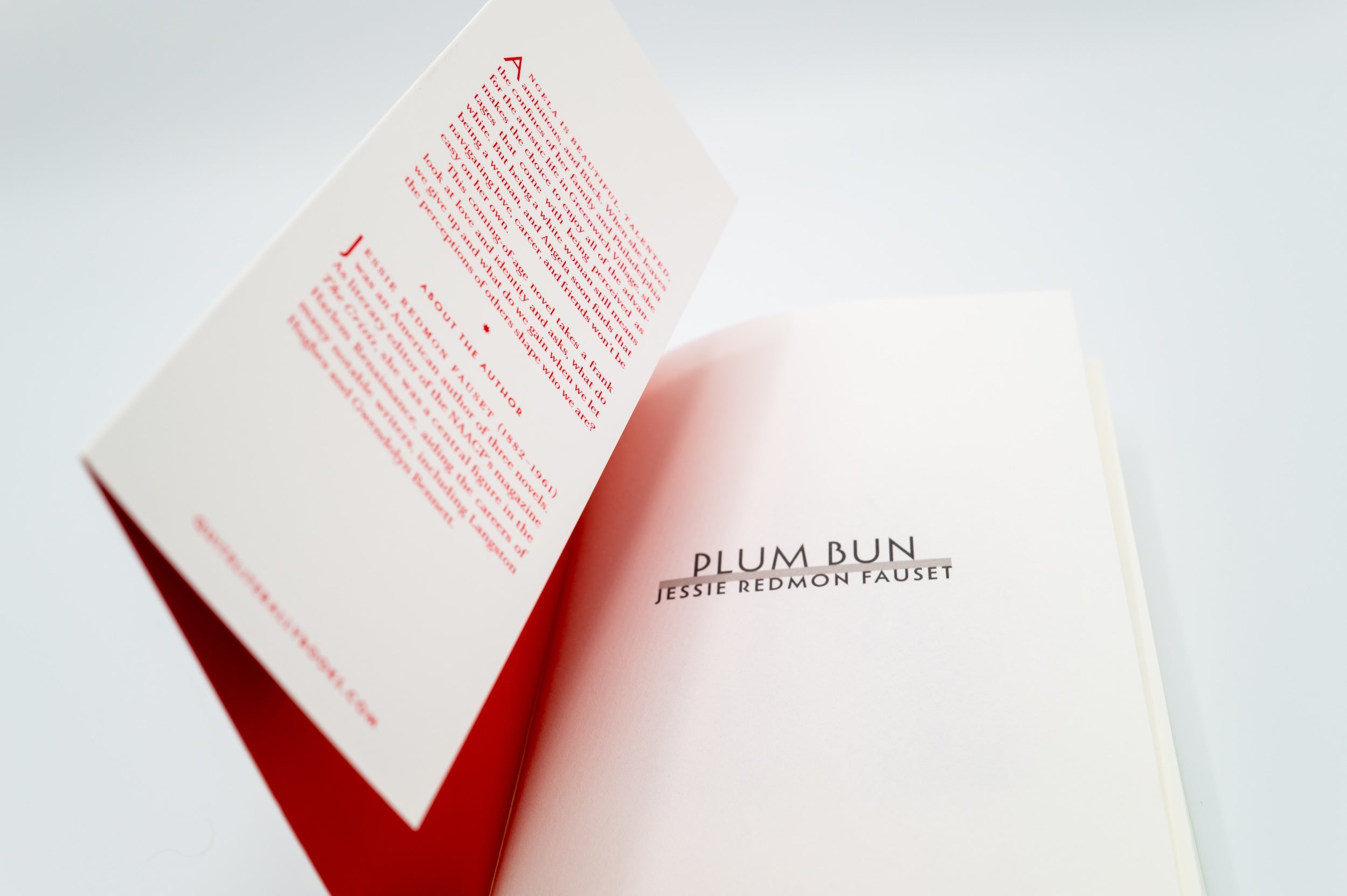 No. 2 Plum Bun: A Novel Without A Moral