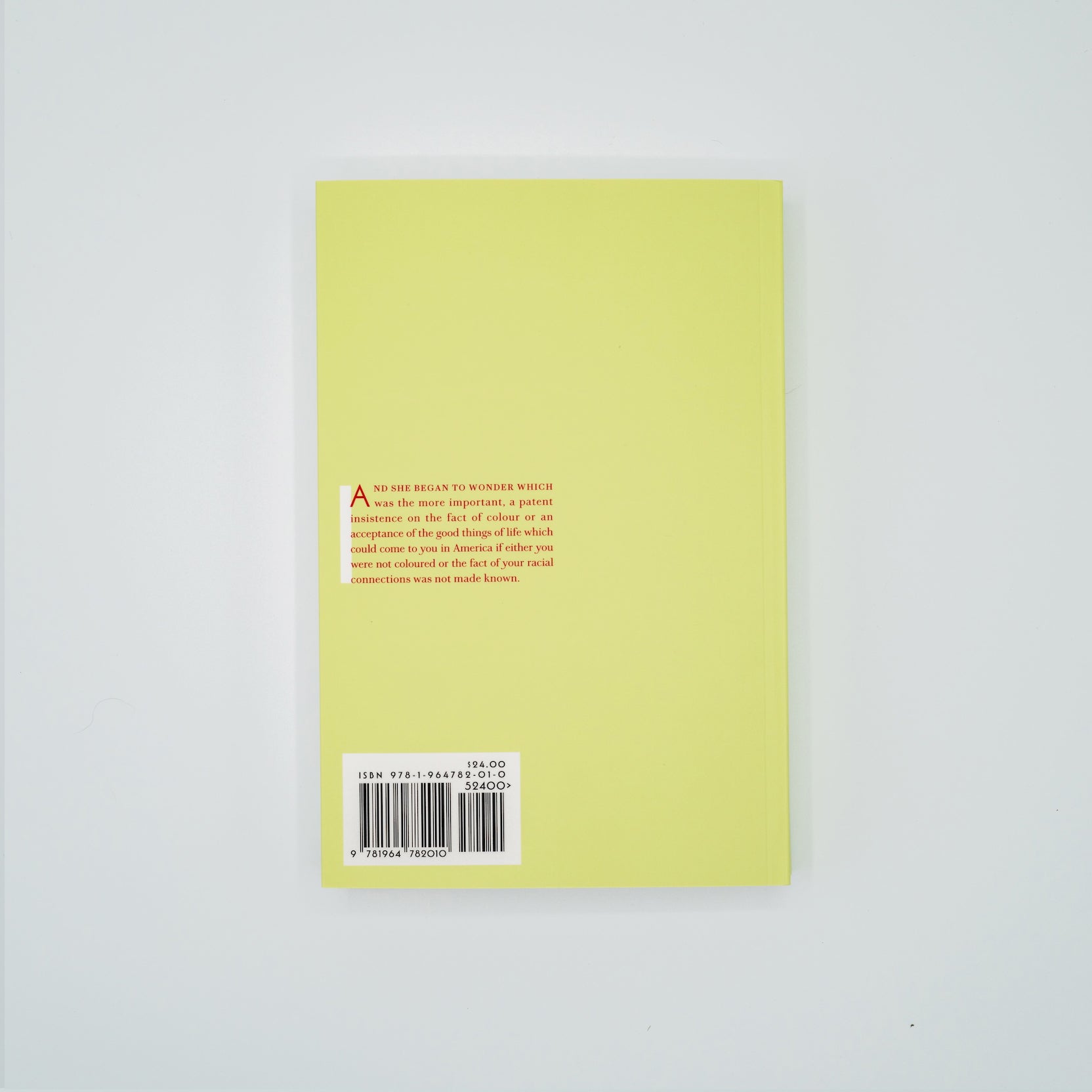 No. 2 Plum Bun: A Novel Without A Moral